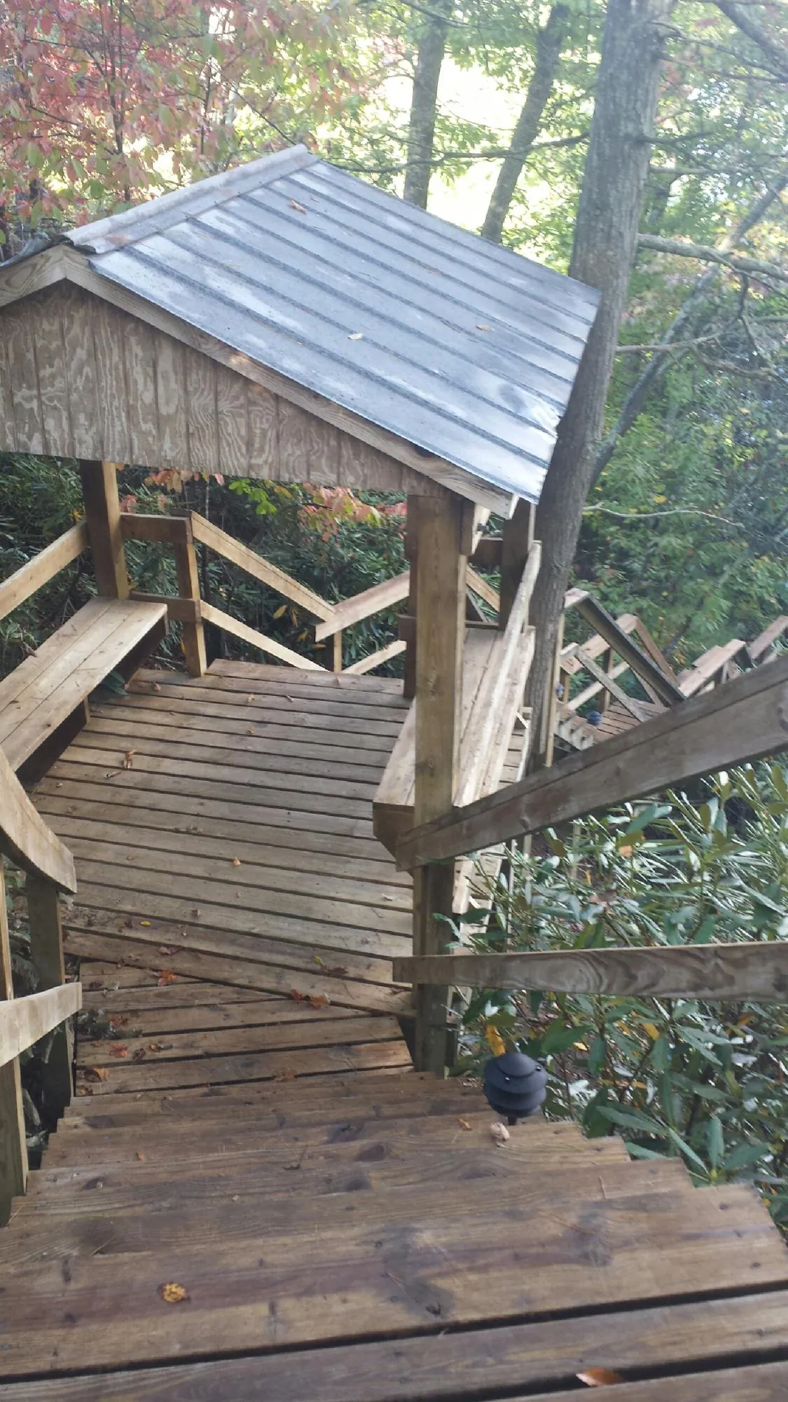 Metal roofed shelter over wooden steps on a wooded walkway — Skylight Repair & Installation work by our crew in Huntland
